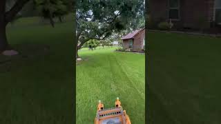 Wright stander B 32” mowing at Augustine grass fyp explore satisfyinglawncare mower [upl. by Aihsilef]