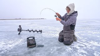 Early Ice Fishing for GIANT Walleyes In Deep Water [upl. by Yelir]