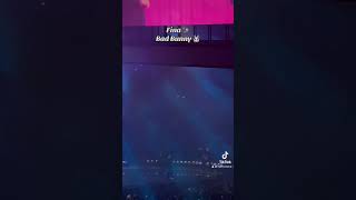 FINA EN VIVO BAD BUNNY contenido concierto badbunny viajes youtubeshorts shortsvideo usa [upl. by Cul300]