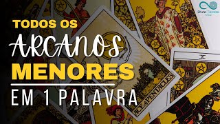 Aprenda Tarot  Todos os Arcanos Menores em 1 Palavra  Método de Estudo dos Arcanos Menores [upl. by Nester882]