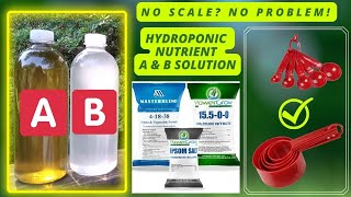 Mix Your Own Hydroponic Nutrient Solution At Home With or Without A Scale  DIY Hydroponic Solution [upl. by Ebert]