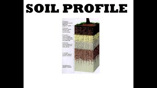 SOIL PROFILE [upl. by Ahsilrae]