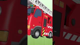 Rescue Team Heroes Shorts TayotheLittleBus BestSong [upl. by Tewell]