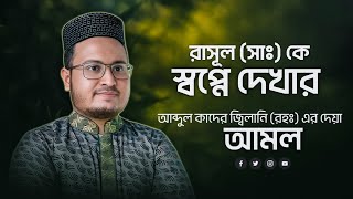 রাসূল সাঃ কে স্বপ্নে দেখার আমল  Tilismati Duniya [upl. by Nerrad]