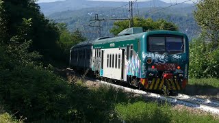 TRENORD SULLA NOVARAARONA [upl. by Philippine]