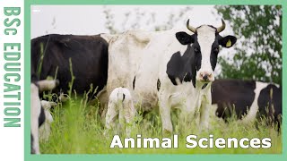 Discover Animal Sciences  WURtube [upl. by Narmi]