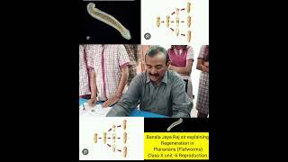 Banala Jaya Raj sir explaining Regeneration in planarians Flatworms class X unit 6 Reproduction [upl. by Nilyad]