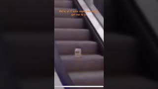 Mayonnaise on an escalator [upl. by Attayek]