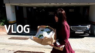 하이디라오 훠궈 마라탕 쫄면amp갈비 고추바사삭 교촌 먹방 직장인 브이로그 데이트 Korea vlog Mukbang [upl. by Cirala256]