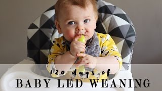 120 days of Baby Led Weaning [upl. by Alrrats]