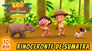 Rinoceronte de Sumatra  Episodio Completo  Leo El Explorador [upl. by Eedna865]