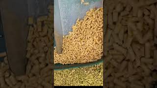 How to use a mini pellet mill for cattle feed [upl. by Adnole]