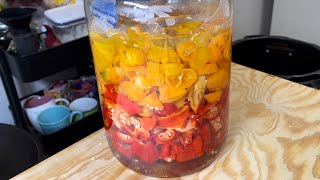 Fermented Louisiana Style Hot Sauce Recipe [upl. by Amliv]