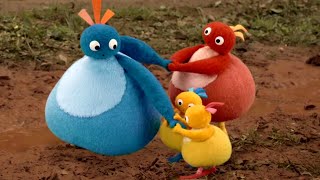 Twirlywoos  Big Twirlywoos Compilation Season 2  Best Moments  Fun Learnings for kids [upl. by Eilerua]