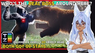 Vtuber Discovers The Power Difference Between Gorillas And Bears  Channie Reacts to TierZoo [upl. by Giesser963]