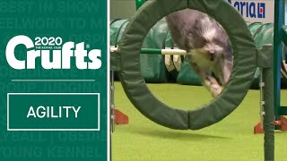 Agility  International Invitation  Large Jumping  Part one  ​Crufts 2020 [upl. by Paynter]