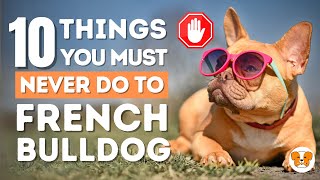 10 Things You Must Never Do to Your French Bulldog Beware frenchbulldog [upl. by Ahsenrac]