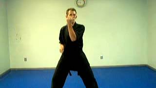 KENPO KARATE for BEGINNERS LESSON 1 [upl. by Grobe]