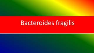 bacteroides fragilis [upl. by Eeslek]