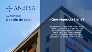 Opinión de Valor  ANEPSA [upl. by Ysle]