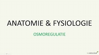 Osmoregulatie [upl. by Otreblon]