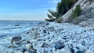 Lake Michigan Rock Hunt  Display Grade Stromatoporoids [upl. by Bowles]