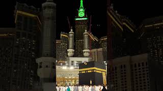 Pigeons Al Haram Makkah Masha Allah  makkah youtubeshorts [upl. by Nipha]