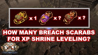 PoE 324 What is the best scarab combination for XP shrine leveling strategy [upl. by Ynad671]