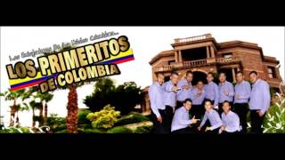 Cumbia Coqueta En Vivo  Los Primeritos De Colombia [upl. by Idnod315]