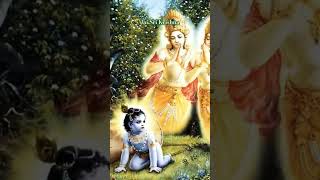 Happy Krishnastami Wishes to all Godly Creatures goodmorning devotional worship krishna [upl. by Segalman]