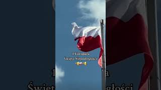 Święto Niepodległości polska poland🇵🇱 1918 victory niepodległość historia history [upl. by Etom]