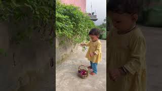 viralvideo flowers torte hue vaani 🌼🪷💐🌸🌺🪻💁‍♀️ [upl. by Iram719]