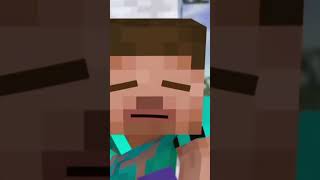 STEVE VS WARDIAN IN MINECRAFT [upl. by Nnaynaffit628]