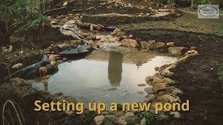 Setting up a pond with pond plants [upl. by Anilok]