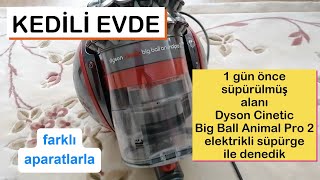 Kedili Evde DYSON Cinetic Big Ball Animal Pro 2 Süpürgeyi Denedik [upl. by Battat]