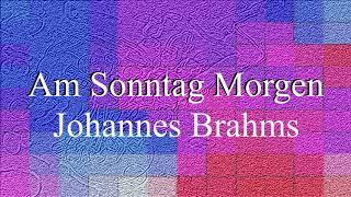 Am Sonntag Morgen by Johannes Brahms  e minor piano accompaniment [upl. by Monah]