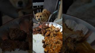 പപ്പീസ് ഡയറ്റ് പ്ലാൻ 🥲😼🐕 Dog food plan dogfood puppykuttan funnycat ambaan [upl. by Aronek248]