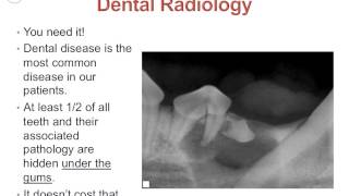 Dental Radiology in Veterinary Practice [upl. by Childs655]