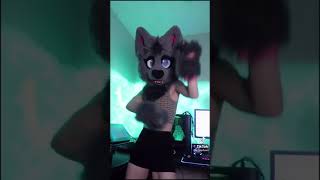 cfcaptures furry tiktok 10 [upl. by Esnohpla586]