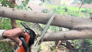 Professional cutting with chainsaw chainsaws stihl stihl [upl. by Yeruoc]