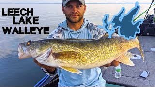 Catching All Fish Species in MN Part 16 The Freshwater Drum fishing [upl. by Neurath]