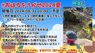 【 おはるをさがせ2024夏 】🌸〇ォーリーを探せみたいな企画🌻【 小野町春香にじさんじ 】 [upl. by Airahs]