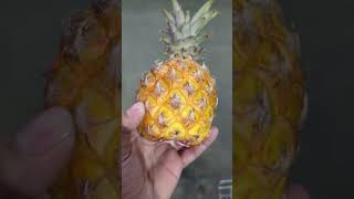 Pineapple mini fruit extractor [upl. by Hy]