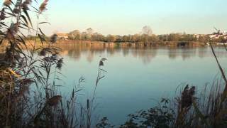 PONTEDERA  Autunno ai Laghi del Braccini  di Sergio Colombini [upl. by Berget]