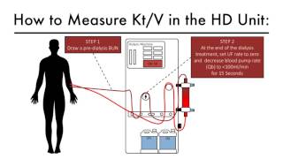 Hemodialysis Kinetics 101 07 How To Measure KtV [upl. by Htiek]