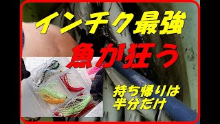 大爆釣のインチクゲームの凄味 真鯛も青物も根魚もイチコロ その実情を大公開 [upl. by Dettmer]