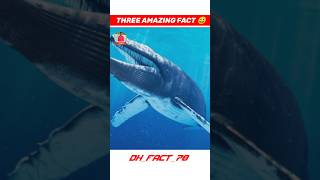 Three amazing fact shorts video shortsfactshorts amazingfacts threefacts animalfactsviralshort [upl. by Cary]