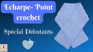 ECHARPE au CROCHET  POINT FACILE [upl. by Jackie428]