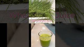 Wheat Grass Juice liver detox drink for healthy hair and skinwheatgrassjuice liverdetox skin [upl. by Faxan]