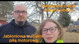 Drastyczne cięcie starych jabłoni Jabłoniowa masakra piłą motorową [upl. by Bryon]